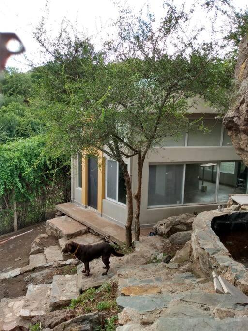 Koba, Una Experiencia Memorable Potrero de los Funes Εξωτερικό φωτογραφία